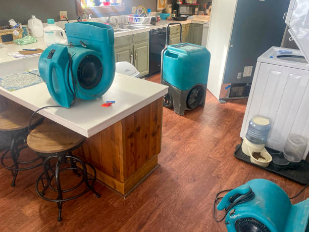 Best Local water damage restoration  in Italy, TX