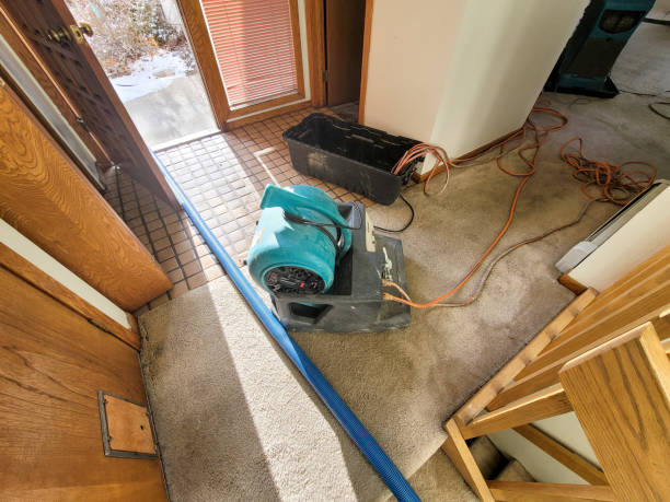 Best Water damage cleanup near me  in Italy, TX