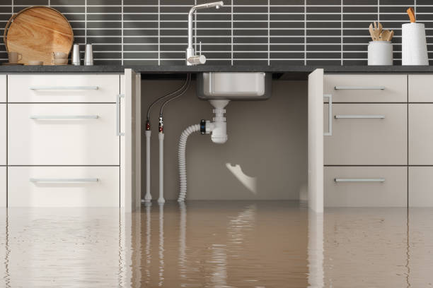 Best Water damage contractors near me  in Italy, TX