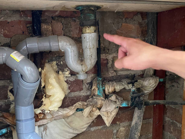 Best Flood restoration services  in Italy, TX