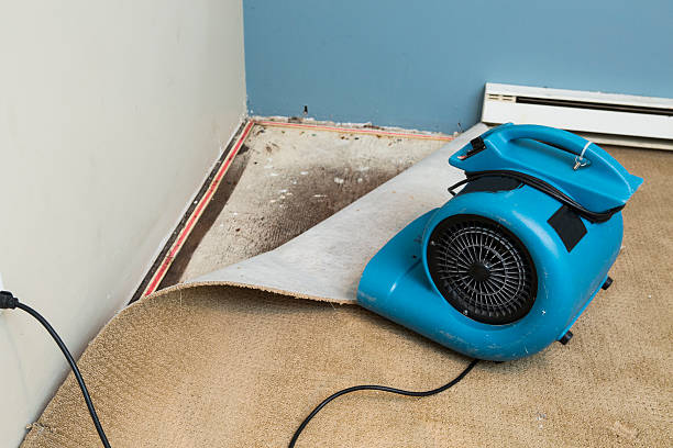 Best 24/7 water damage repair  in Italy, TX